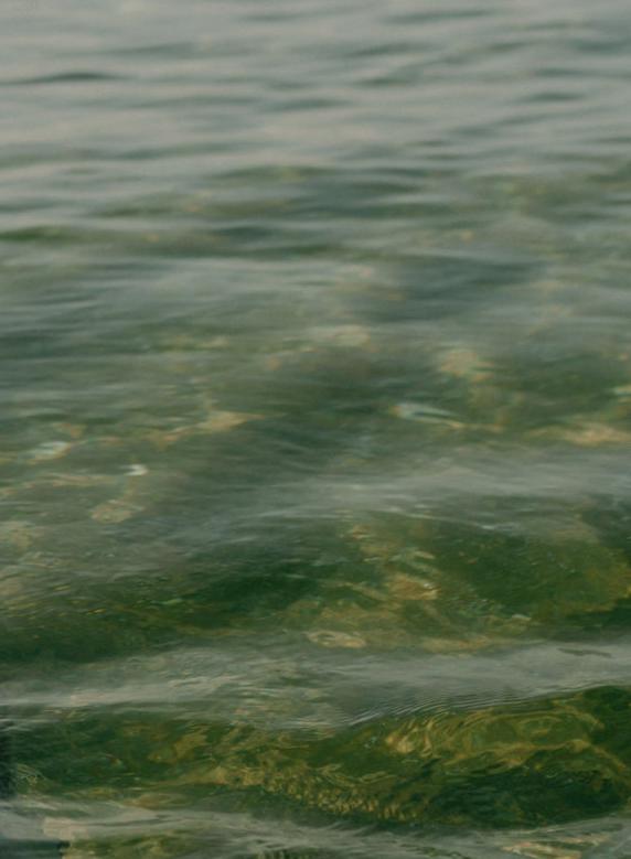unnamed image